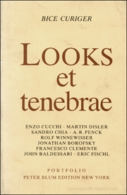Looks et Tenebrae : Neun Monographien zu den Portfolio der / Nine Monographs on the Portfolio Published by Peter Blum Edition