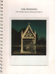 The Wedding (The Walker Evans Polaroid Project)