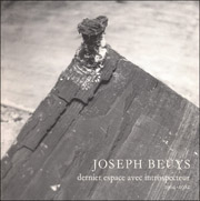 Joseph Beuys : Dernier Espace avec Introspecteur, 1964-1982