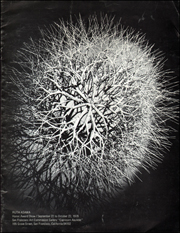 Ruth Asawa : Honor Award Show