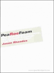 PeaRoeFoam : The Impetuous Process, My Special Purpose and The Liver Pool